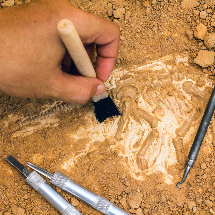 Dạng phổ biến nhất của carbon có 6 neutron thì cacbon-14 có thêm 2 neutron. Điều đó làm cho đồng vị nặng hơn và kém ổn định hơn nhiều so với dạng carbon phổ biến nhất.