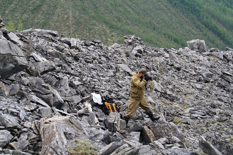 Tốc độ tăng trưởng này gần giống tình hình xảy ra tại khu rừng ở gần nhà máy điện nguyên tử Chernobyl sau thảm họa hạt nhân.
