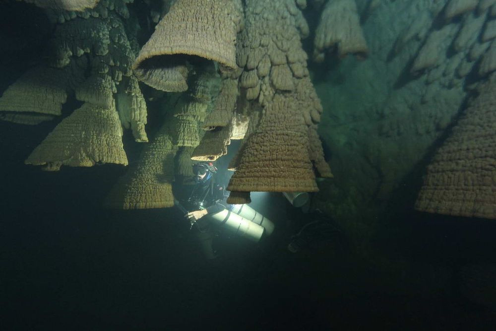 El Zapote cenote là một hố sụt đầy nước sâu 50m trên bán đảo Yucata, ở Quintana Roo, Mexico. Bên trong hố sụt chứa đầy nước này là những thạch nhũ được gọi là " chuông tử thần" gây nhiều tò mò.