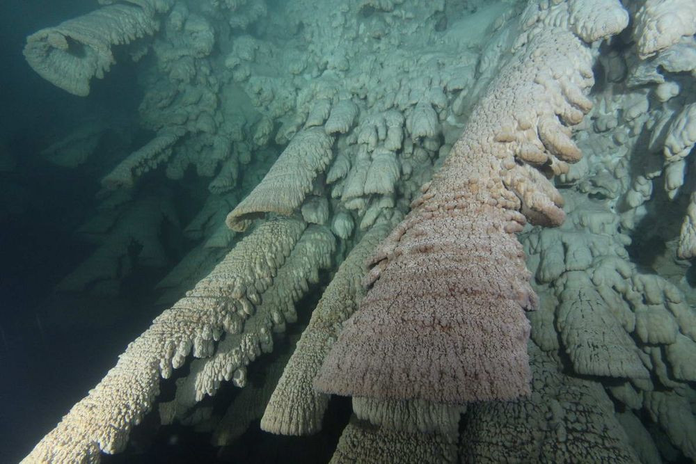 Thay vào đó, thạch nhũ ở El Zapote cenote có hình nón và rỗng trông giống hình những cái chuông.
