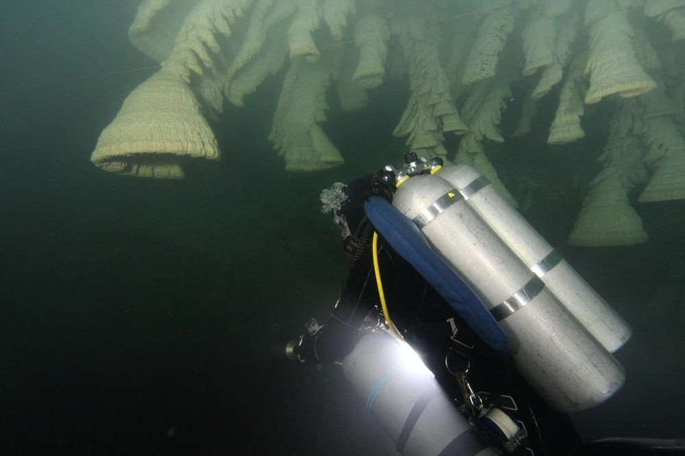 "Chuông tử thần" ở El Zapote cenote thường có hình elip hoặc đôi khi là hình tròn.
