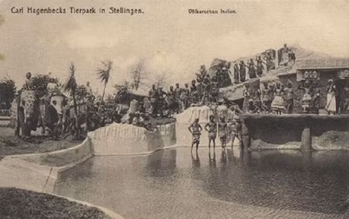 Việc hàng trăm thổ dân châu Phi, người da đen bị đem ra "trưng bày" như những động vật hoang dã tại vườn thú khiến các tổ chức nhân quyền lên tiếng phản đối.