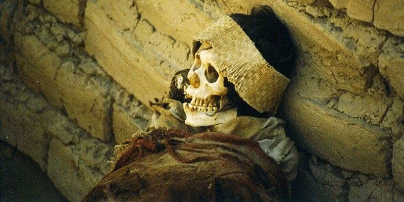 Sau khi nhìn thấy cổ vật này, người em gái khuyên chị gái không nên lấy nó vì có thể gặp chuyện không may mắn vì đánh thức "lời nguyền chết chóc". Nghe theo lời khuyên của em gái, người chị kể chuyện cho hướng dẫn viên để trả mẩu xương ngón tay của xác ướp về chỗ cũ.