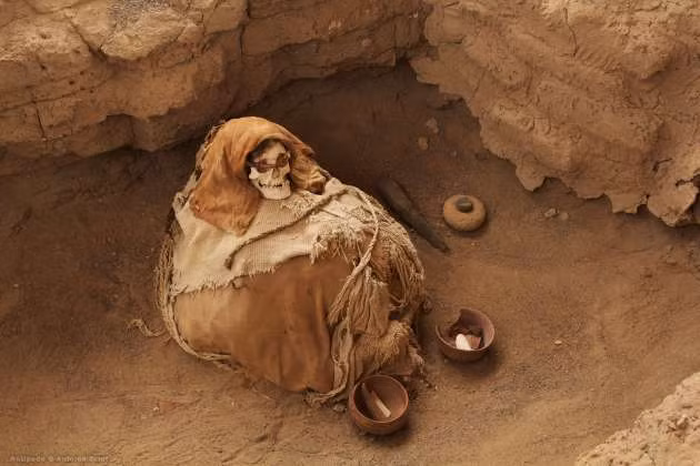 Những tưởng sau khi trả lại bà sẽ không gặp chuyện kỳ lạ nào. Thực sự, khi trở về nhà từ chuyến du lịch, bà mắc bệnh nấm móng và móng tay ngày càng chuyển sang màu nâu vàng. Bà là người duy nhất trong đoàn du lịch khi ấy mắc căn bệnh này.