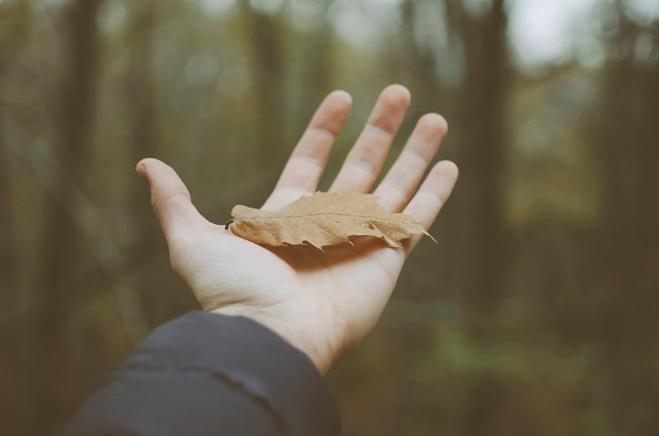  Đường vân Lý Tài sâu và dài: Phía trên đường tình duyên có một đường vân nhỏ song song gọi là đường Lý Tài. Nếu đường này sâu và dài thì đây là những người rất biết cách quản lý tiền bạc. Dù làm ông chủ, tài chính hay kế toán thì họ đều rất biết cách sử dụng tiền bạc. Họ dễ dàng kiếm và tiết kiệm nhiều tiền, cũng là những người tướng giàu có.