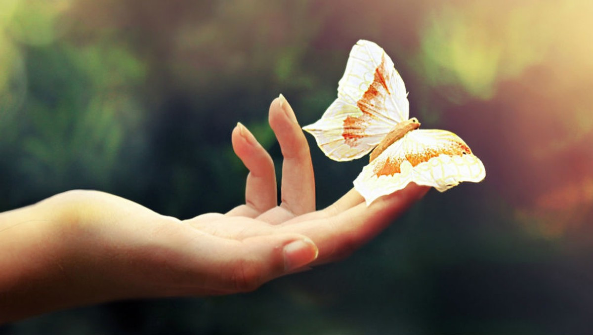  Gò Thái Dương gồ lên, có hình chữ thập hoặc vân ngôi sao: Gò Thái Dương nằm dưới ngón áp út, vị trí này đại diện cho sự phú quý. Người có gò Thái Dương dài, đầy đặn, gồ lên và màu sắc hồng hào chứng tỏ người này rất biết kiếm tiền, dễ dàng có cơ hội phát tài, đồng thời họ cũng biết giữ tiền, số tiền kiếm được tiêu cả đời cũng không hết.