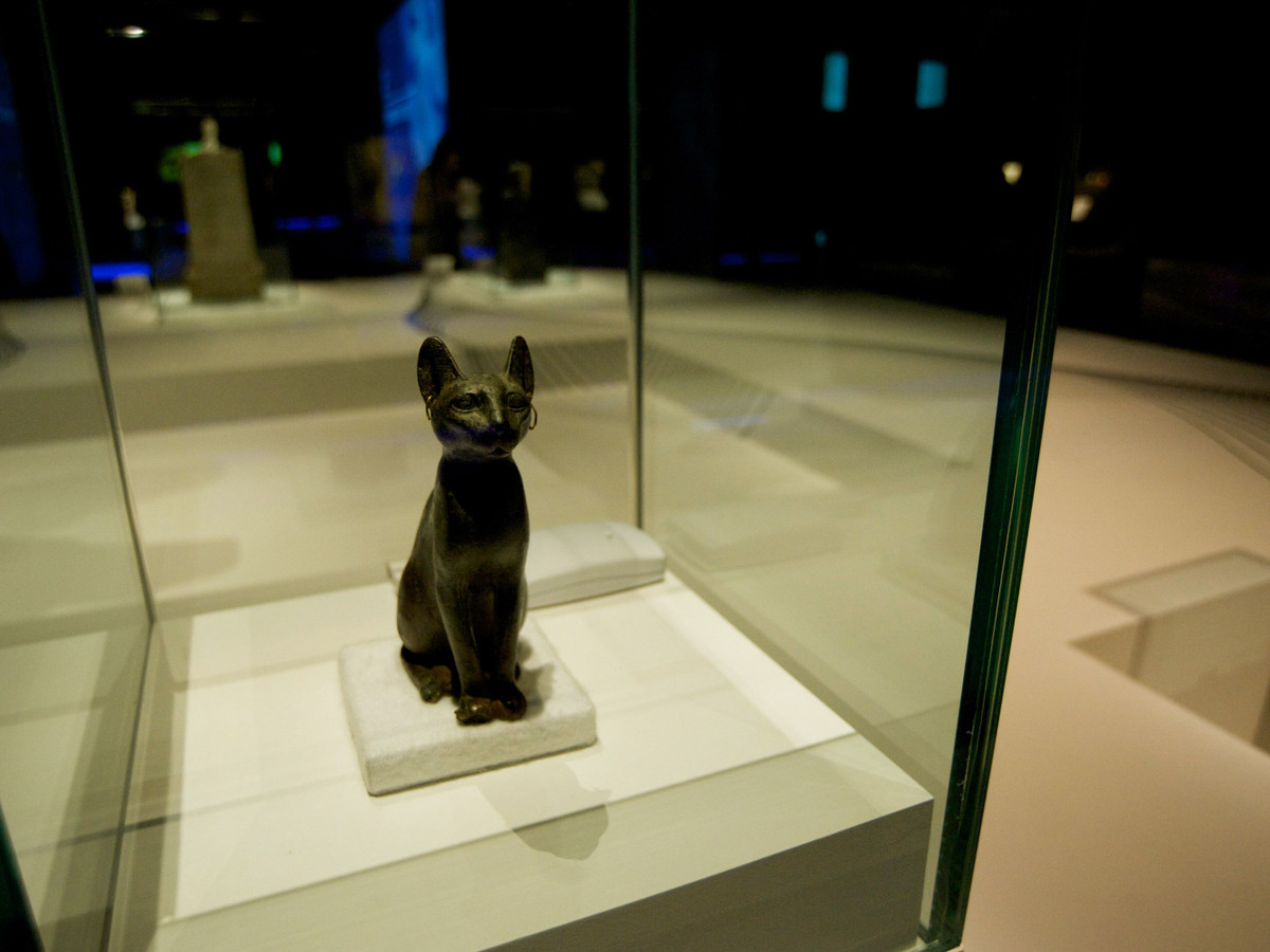 Thêm nữa, người Ai Cập thời cổ đại quan niệm đôi mắt của loài mèo có thể nhìn thấy linh hồn mỗi người. Với khả năng phi thường này, phụ nữ ở Ai Cập thường trang điểm mắt giống mắt mèo.