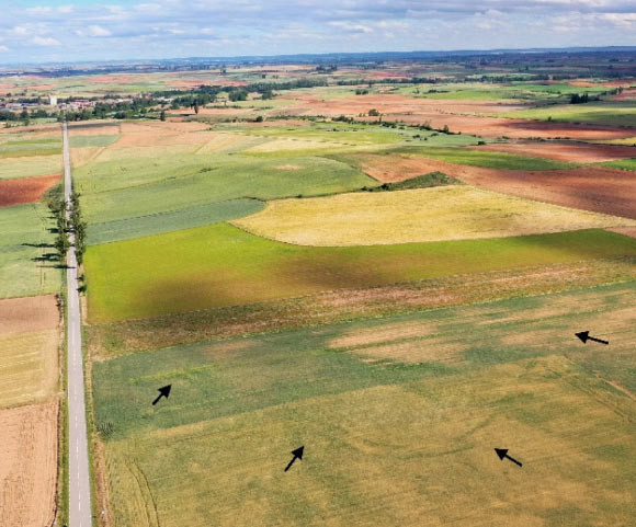 Vào thời điểm đó, quân đội của đế chế La Mã thực hiện cuộc chinh phục tại bán đảo Iberia và những khu vực khác.