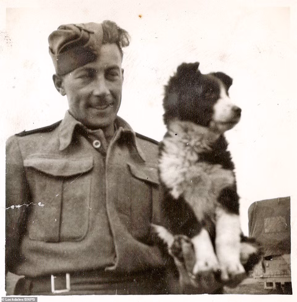 Người lính chơi đùa cùng với một con chó ở Syria năm 1943.