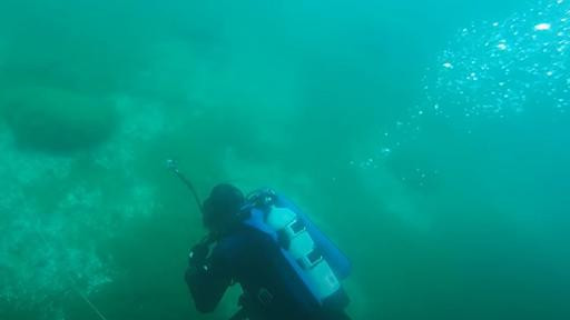 Từ đây, các chuyên gia suy đoán cấu trúc giống bãi đá cổ Stonehenge ở dưới đáy hồ Michigan có thể có niên đại từ 10.000 - 12.000 năm.