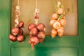  Hy Lạp: Với phong tục treo hành tây trên cửa trước các ngôi nhà như biểu tượng của sự tái sinh, nên vào đêm giao thừa, cha mẹ sẽ đánh thức con cái, bằng cách dùng hành tây đập vào đầu.