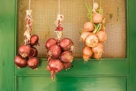  Hy Lạp: Với phong tục treo hành tây trên cửa trước các ngôi nhà như biểu tượng của sự tái sinh, nên vào đêm giao thừa, cha mẹ sẽ đánh thức con cái, bằng cách dùng hành tây đập vào đầu.