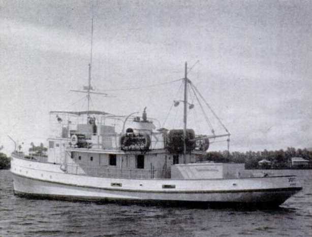 Một trong những bí ẩn hàng hải lớn nhất lịch sử là việc 25 thủy thủ biến mất bí ẩn ở vùng biển Thái Bình Dương năm 1955. Số thủy thủ này làm việc trên tàu MV Joyita.