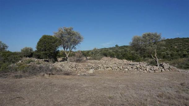 Dân chúng Hy Lạp thời cổ đại trở thành những tín đồ trung thành của vị thần tình yêu và thực hiện nhiều nghi lễ nhằm tôn vinh Aphrodite.