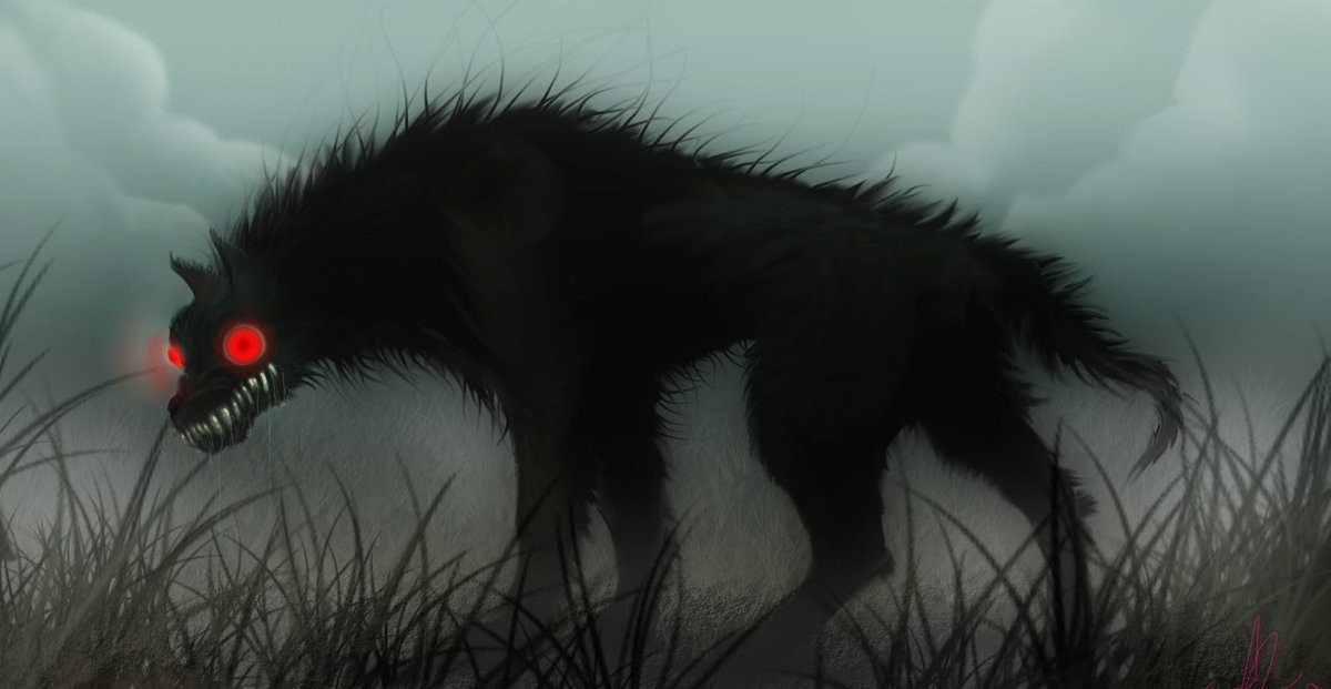 Chính vì vậy, nhiều người dân không muốn bắt gặp con chó đen trên đường vào buổi tối. Họ không muốn cuộc gặp bất ngờ đó sẽ khiến bản thân gặp những điều không may mắn.