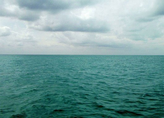 Đến nay, nguyên nhân sự cố rơi máy bay này vẫn là một ẩn số lớn. Nguyên do là bởi cả Mỹ và Ai Cập đều tiến hành một cuộc điều tra vụ tai nạn hàng không này và mỗi bên đưa ra kết luận khác nhau.