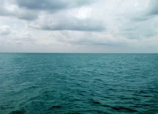 Đến nay, nguyên nhân sự cố rơi máy bay này vẫn là một ẩn số lớn. Nguyên do là bởi cả Mỹ và Ai Cập đều tiến hành một cuộc điều tra vụ tai nạn hàng không này và mỗi bên đưa ra kết luận khác nhau.