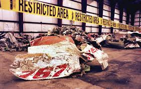 Khác với kết quả điều tra của Mỹ, giới chức Ai Cập cho hay vụ tai nạn hàng không thảm khốc khiến 217 chết là do động cơ trục trặc.