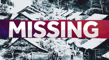 Từ đây, một số giả thuyết được đưa ra. Trong số này có giả thuyết suy đoán hơn 600 người dân ở Hoer Verde bị một thế lực bí ẩn bắt cóc sau khi bị tấn công.