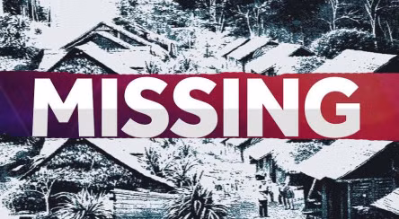 Từ đây, một số giả thuyết được đưa ra. Trong số này có giả thuyết suy đoán hơn 600 người dân ở Hoer Verde bị một thế lực bí ẩn bắt cóc sau khi bị tấn công.