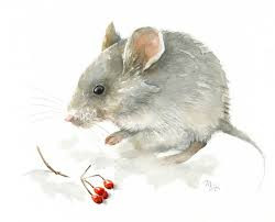 Trong năm 2021, sự nghiệp sẽ trở thành vấn đề được ưu tiên hàng đầu của các quý cô Tý. Đây cũng là lúc những cố gắng của bạn được đền đáp một cách xứng đáng và có lẽ bạn cũng sẽ tìm thấy hướng đi riêng cho mình. (*Bài viết trên chỉ mang tính chất chiêm nghiệm và tham khảo).