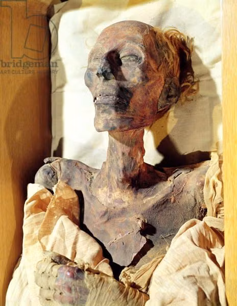 Phải tới năm 1881, xác ướp Ramesses II mới được các chuyên gia khảo cổ phát hiện. Kế đến, thi hài nhà vua được đưa đến Bảo tàng Ai Cập tại Cairo.