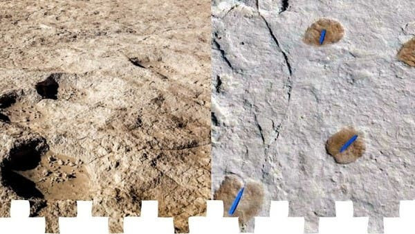 Theo các chuyên gia, vào thời điểm trên, ở khu vực ngày nay là phía Bắc Ả Rập Xê Út, một nhóm người tinh khôn (Homo sapiens) dừng chân một thời gian tại hồ nước cổ Alathar trên sa mạc Nefud để uống nước và tìm kiếm thức ăn bằng cách săn bắn động vật sinh sống ở ven hồ.