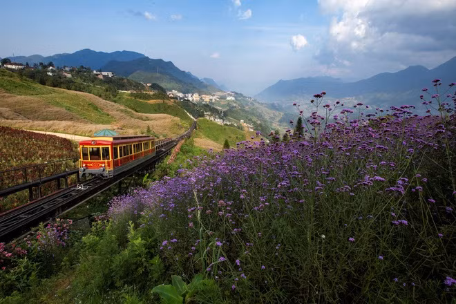Mường Hoa là một trong những thung lũng nên thơ của thị trấn trong sương. Bao phủ toàn bộ thung lũng là những loài hoa khoe sắc, tỏa hương quanh năm. Trong hành trình lên đỉnh núi Fansipan bằng cáp treo, du khách sẽ được thưởng ngoạn cảnh đẹp thiên nhiên của thung lũng Mường Hoa và núi rừng kỳ vĩ. Ảnh: Phạm Quang Vinh.