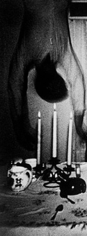 Nhiều người cho rằng, thứ kỳ lạ trong ảnh là bóng một người treo ngược trên trần nhà. Gia đình Cooper cho hay khi chụp ảnh không có người nào khác. Từ đó, một giả thuyết suy đoán đó có thể là "bóng ma" bí ẩn.