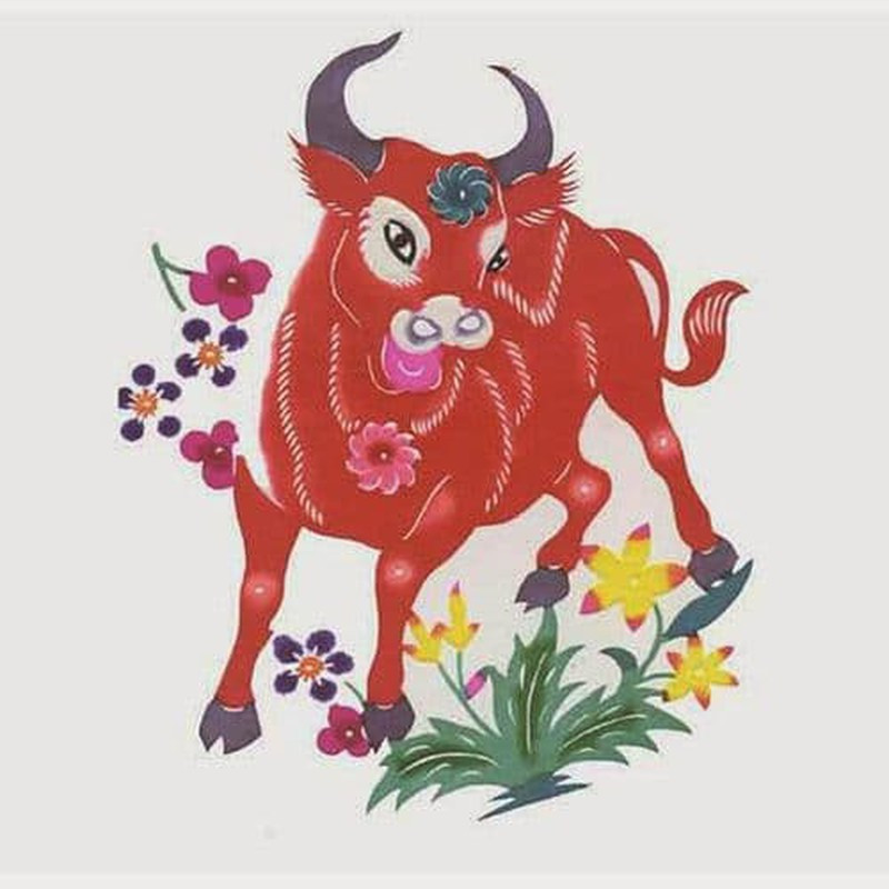 Trong khi đó, người tuổi Sửu có nhóm máu O có tính cách thận trọng. Họ thường mất khá nhiều thời gian để cân nhắc mọi việc trước khi bắt tay vào việc.