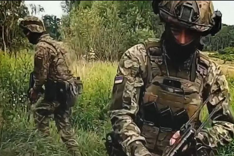 Lữ đoàn 155 được cả phương tiện truyền thông của Chính phủ Pháp và Ukraine mô tả là “lực lượng chiến đấu tinh nhuệ, mạnh mẽ”, gồm 2.000 quân. Về vũ khí, Lữ đoàn được trang bị xe tăng hạng nhẹ AMX 10 do Pháp tài trợ, 128 xe chiến đấu bọc thép và 18 pháo tự hành CAESAR, một trong những loại pháo hiệu quả nhất, từng hoạt động trong xung đột Nga-Ukraine.