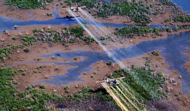 Nhiều năm sau chiến tranh, hàng trăm ngàn quân nhân và cố vấn Mỹ đã bị ung thư hoặc sinh con bị dị tật do đã tiếp xúc với chất độc da cam. Sau thất bại ở Việt Nam, Tổng thống Richard Nixon nhìn nhận: “Chưa bao giờ trong lịch sử nước Mỹ, có nhiều nguồn lực như vậy đã bị sử dụng một cách kém hiệu quả như trong chiến tranh ở Việt Nam”.