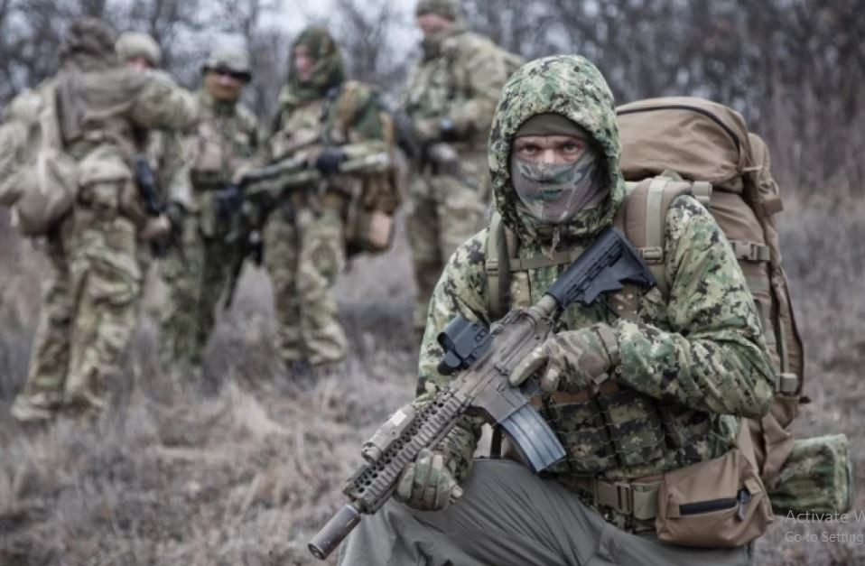 Bởi vì những người lính đánh thuê phương Tây này bề ngoài đang hỗ trợ Quân đội Ukraine chiến đấu, nhưng thực chất lại là những người lính đánh thuê đến từ các nước phương Tây, họ chuyên giám sát các hoạt động của Quân đội Ukraine và thường bắn chết những người lính Ukraine chạy trốn trong chiến đấu; tuy nhiên đó cũng chỉ là thuyết âm mưu.