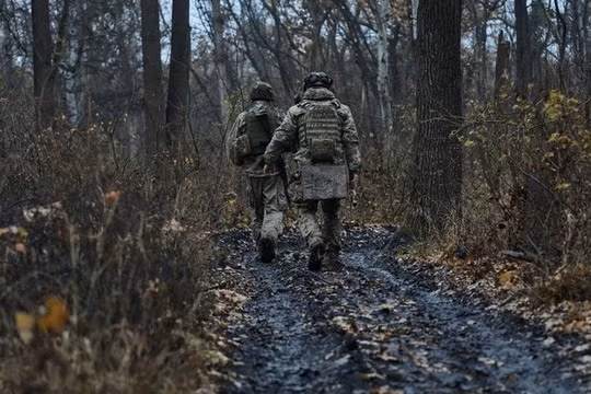 Viện Nghiên cứu Chiến tranh Mỹ (ISW) cho biết, họ đã quan sát thấy những người lính Nga ở trung tâm làng Belovody, nhưng nhiều khả năng thông tin này đã bị lạc hậu. Báo cáo của ISW cũng cho biết, giữa Basivka và Zhuravka (phía đông bắc Sumy), RFAF đã tiến thêm trong một khu vực sâu tới 2 km và rộng 8 km.