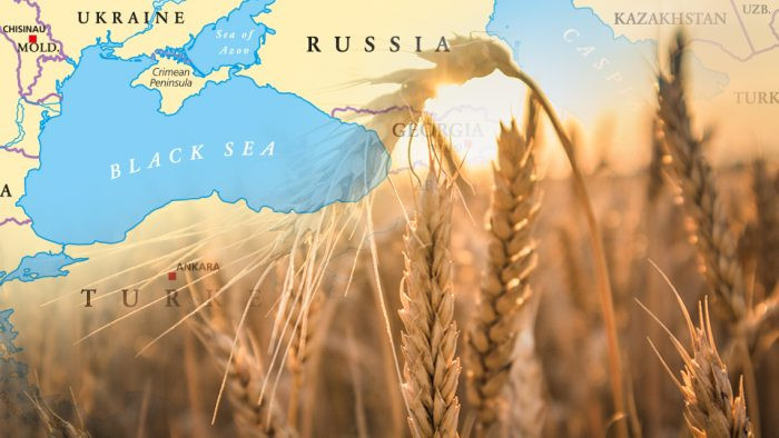 Việc Ukraine không thể xuất khẩu lương thực, khiến giá thực phẩm quốc tế sau đó tăng vọt, giá lúa mì vượt ngưỡng 400 USD/tấn, mức cao nhất trong một thập kỷ.