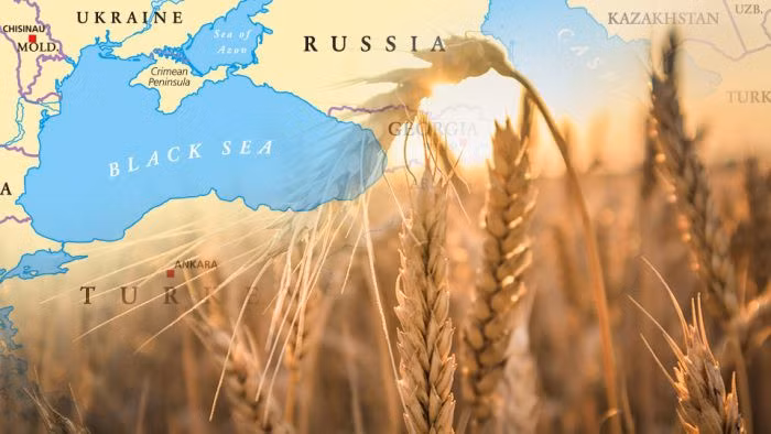 Việc Ukraine không thể xuất khẩu lương thực, khiến giá thực phẩm quốc tế sau đó tăng vọt, giá lúa mì vượt ngưỡng 400 USD/tấn, mức cao nhất trong một thập kỷ.