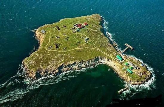 Những ngày sau đó, hoạt động tuần tra trên biển của Hải quân Nga xung quanh Đảo Rắn đã bị suy yếu đáng kể, đồng nghĩa với việc khả năng kiểm soát vùng biển xung quanh Đảo Rắn không còn tốt như trước; điều này khiến Ukraine nhìn thấy cơ hội và lên kế hoạch tái chiếm lại hòn đảo chiến lược này. 