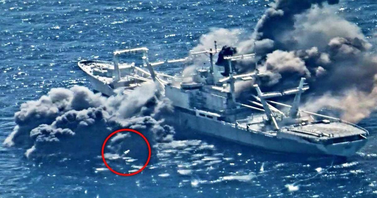 "Tên lửa Harpoon được thiết kế để phòng thủ bờ biển", quan chức Mỹ giải thích và cũng đề cập đến "những tác động tiêu cực" của việc Nga phong tỏa Biển Đen. Tất cả những điều này đã làm dấy lên lo ngại của Ukraine, về việc Nga nhắm mục tiêu vào Odesa và các cảng quan trọng khác xung quanh Biển Đen, do vậy tên lửa Harpoon là lựa chọn hàng đầu.