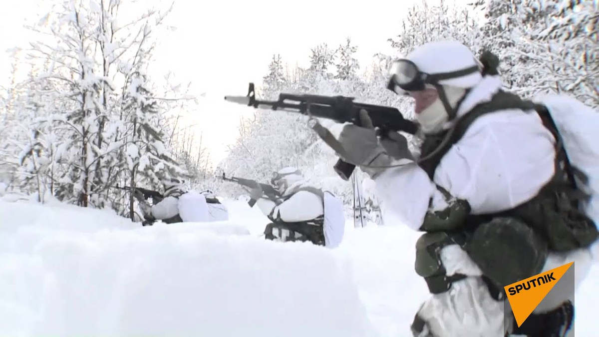 Theo thông tin của truyền thông Nga, dẫn nguồn từ cộng hòa Lugansk tự xưng, lực lượng đặc biệt của Ukraine tới khu vực tác chiến, là quân của tiểu đoàn 3, thuộc Lữ đoàn đổ bộ đường không biệt động số 79, Quân đội Ukraine.