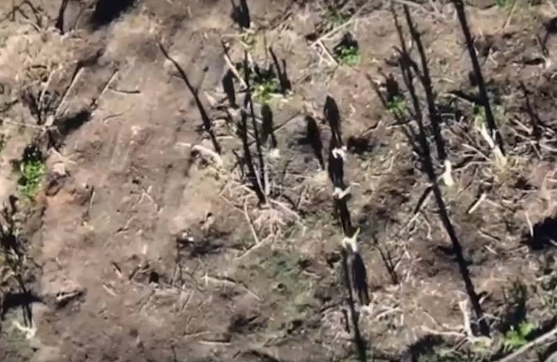 Đoạn phim từ UAV của Ukraine quay cho thấy đống đổ nát của những ngôi nhà và những con đường bị tàn phá, ngôi làng giống bức tranh về ngày tận thế và bi kịch không đáy của cư dân địa phương, giờ đây bị tước đoạt nhà cửa và mọi thứ, mà các thế hệ trước đã xây dựng và bảo tồn. 