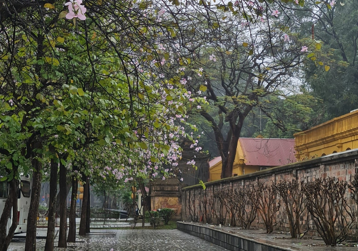 Thời tiết ngày 23/3: Miền Bắc tăng nhiệt, Hà Nội 28 độ Thoi tiet ngay 23/3: Mien Bac tang nhiet, Ha Noi 28 do