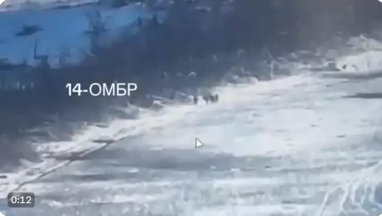 Oleksi đổ lỗi cho công tác chuẩn bị chiến đấu và hậu cần kém từ phía các chỉ huy Ukraine đã gây ra số thương vong cao cho tiểu đoàn của anh. Oleksi cho biết, việc thiếu tàu đã khiến những người bị thương bị bỏ lại phía sau và điều kiện chiến đấu quá ác liệt và gian khổ, làm giảm tinh thần của binh lính.