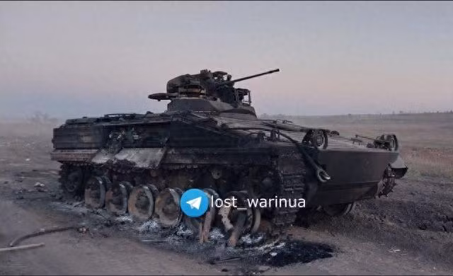 Về phần giáp bảo vệ nặng hơn của Weasel 1A3, cũng không thể giúp gì được cho loại xe chiến đấu của Đức, nơi hỏa lực chống tăng và mìn rải khắp nơi và ngay đến xe tăng Leopard 2 hay Challenger 2 cũng bị phá hủy. Và sự phá hủy của chiếc Weasel 1A3 vừa qua là bằng chứng.