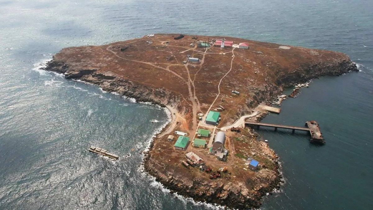 Để tranh giành Đảo Rắn, Nga và Ukraine đều phải trả giá đắt, mất nhiều máy bay chiến đấu và trực thăng. Địa điểm chìm tàu tuần dương "Moscow", soái hạm của Hạm đội Biển Đen của Hải quân Nga, cũng gần Đảo Rắn. Mặc dù quân đội Nga từng chiếm đóng Đảo Rắn nhưng cuối cùng họ vẫn phải sơ tán khỏi đảo.