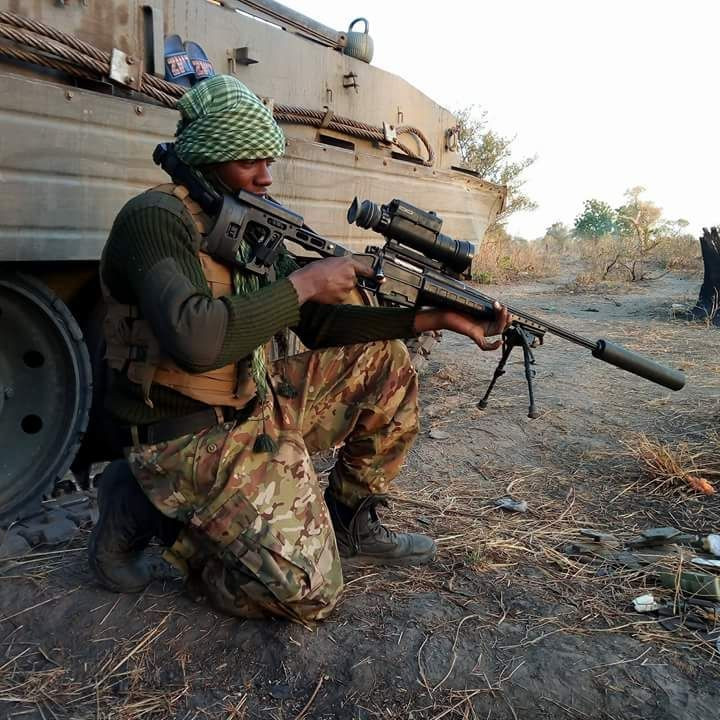 T-5000 được bán trên khắp thế giới và có thể được tìm thấy trong tay của những tay bắn súng nghiệp dư cũng như trong tay của các đơn vị đặc nhiệm trên khắp thế giới. Tuy nhiên, chủ yếu ở Trung Đông và Đông Nam Á, nơi các doanh nghiệp vũ khí của Nga có mối quan hệ chặt chẽ.