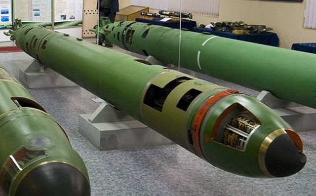 Loại ngư lôi phóng tập là loại ngư lôi huấn luyện, nặng 4,5 tấn, đường kính đạn 650 mm, không lắp đầu đạn thật. Quả ngư lôi này được xuất xưởng từ nhà máy vào năm 1990, khi đó Liên Xô vẫn còn tồn tại.