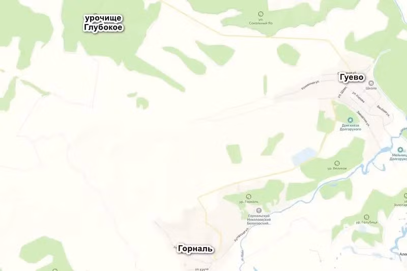 Kênh Military Summary đưa tin, dựa trên thông tin từ chiến trường, vào sáng 8/4, RFAF đã hoàn toàn đẩy lùi quân Ukraine ra khỏi làng Guevo ở vùng Kursk. Các video được định vị địa lý cũng xác nhận các thắng lợi của họ dọc theo các cánh đồng gần biên giới hai nước. Đồng thời, quân Nga đã thọc sâu xuống gần làng Loknia ở Sumy.