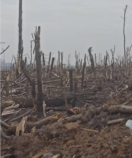 Hiện các lối tiếp cận thành phố thực sự bị biến thành một vùng đất hoang, chủ yếu là do các tòa nhà, cây cối và các địa vật khác nằm ở đây đã thực sự bị hàng chục ngàn quả đạn pháo giáng xuống trong ba tháng qua. 