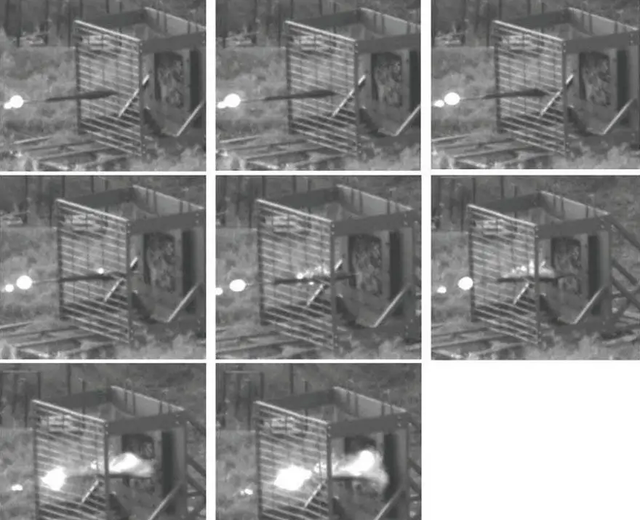 Tên lửa Javelin rất mạnh, vậy xe tăng còn tồn tại trên chiến trường? - Hình 10 Ten lua Javelin rat manh, vay xe tang con ton tai tren chien truong?-Hinh-10