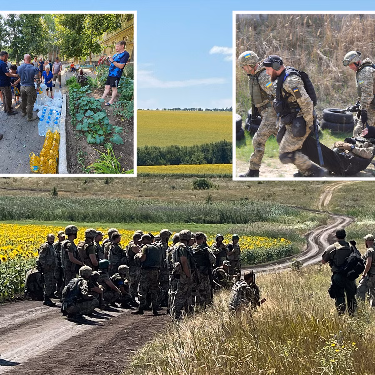 Trong khi đó một số tờ báo phương Tây cũng cho biết, công ty Mozart bao gồm “những kẻ lừa đảo” và các “blogger làm giàu”, nhờ tiền quyên góp từ cư dân phương Tây, để đảm bảo hoạt động của nhóm này ở Ukraine. 